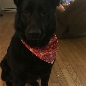 Meet your Posher, Dana